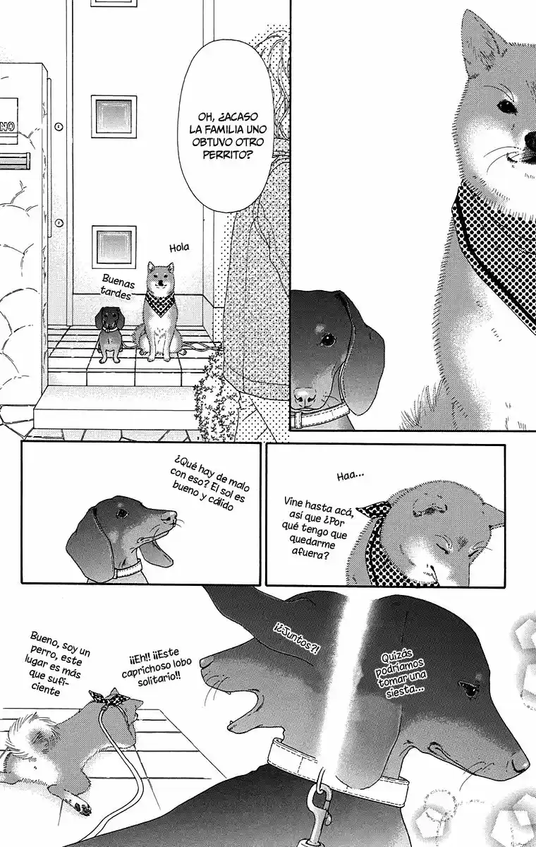 Koibana! Koiseyo Hanabi (2007) - Capítulo 58 - Página 16 - LectorTMOo