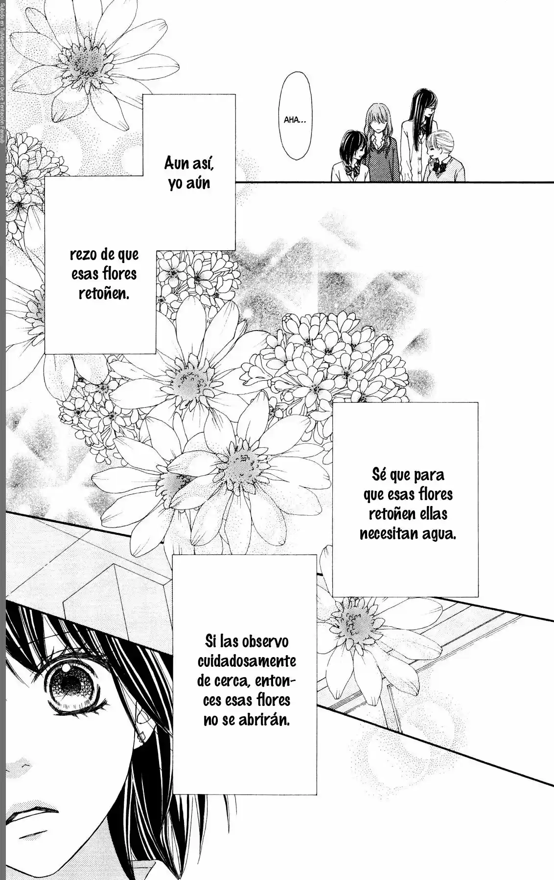 Koibana! Koiseyo Hanabi (2007) - Capítulo 61 - Página 33 - LectorTMOo