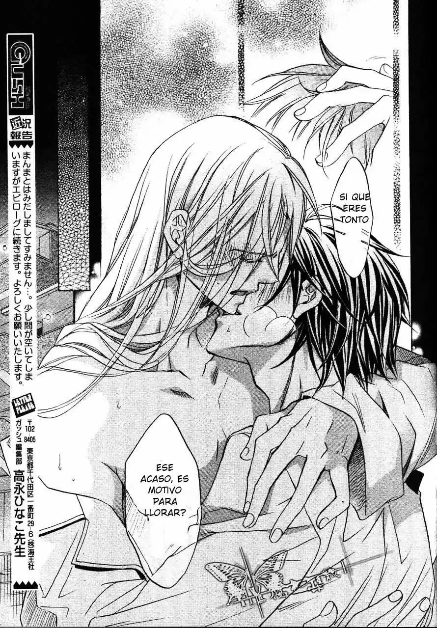 Koisuru Boukun (Manga) - Capítulo 42 - Página 40 - LectorTMOo