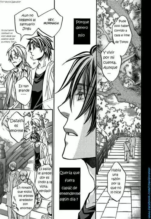 Koisuru Boukun (Manga) - Capítulo 53 - Página 16 - LectorTMOo