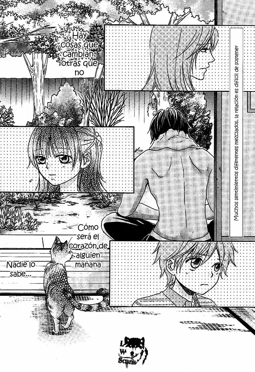 Kore wa Koi no Hanashi (2010) - Capítulo 13 - Página 43 - LectorTMOo