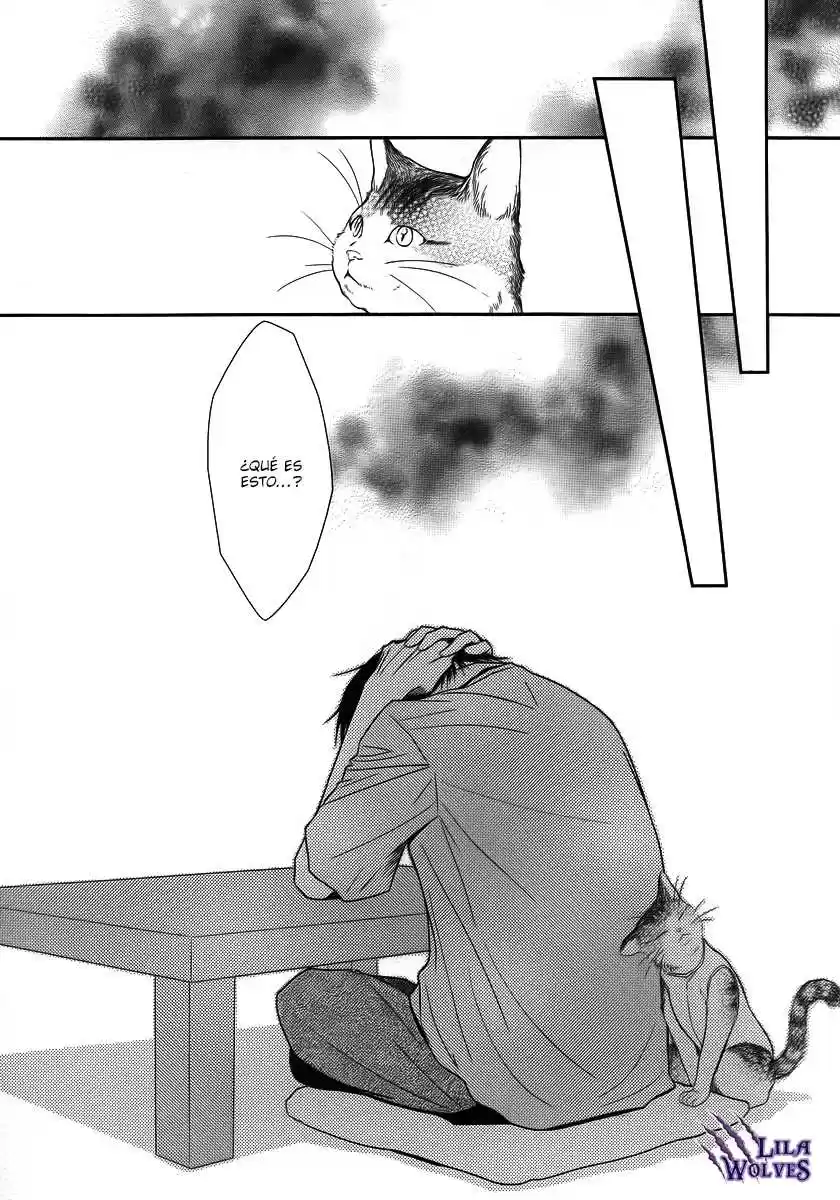 Kore wa Koi no Hanashi (2010) - Capítulo 37 - Página 38 - LectorTMOo