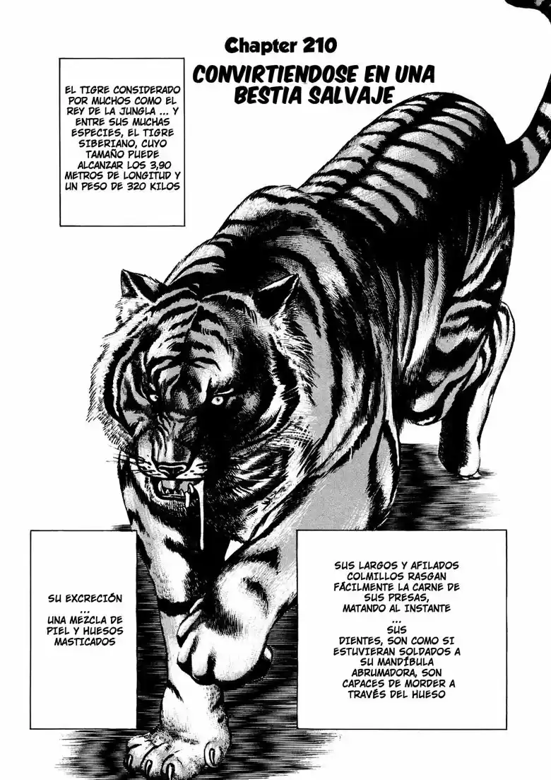 Koukou Tekken-den Tough (1993) - Capítulo 210 - Página 1 - LectorTMOo