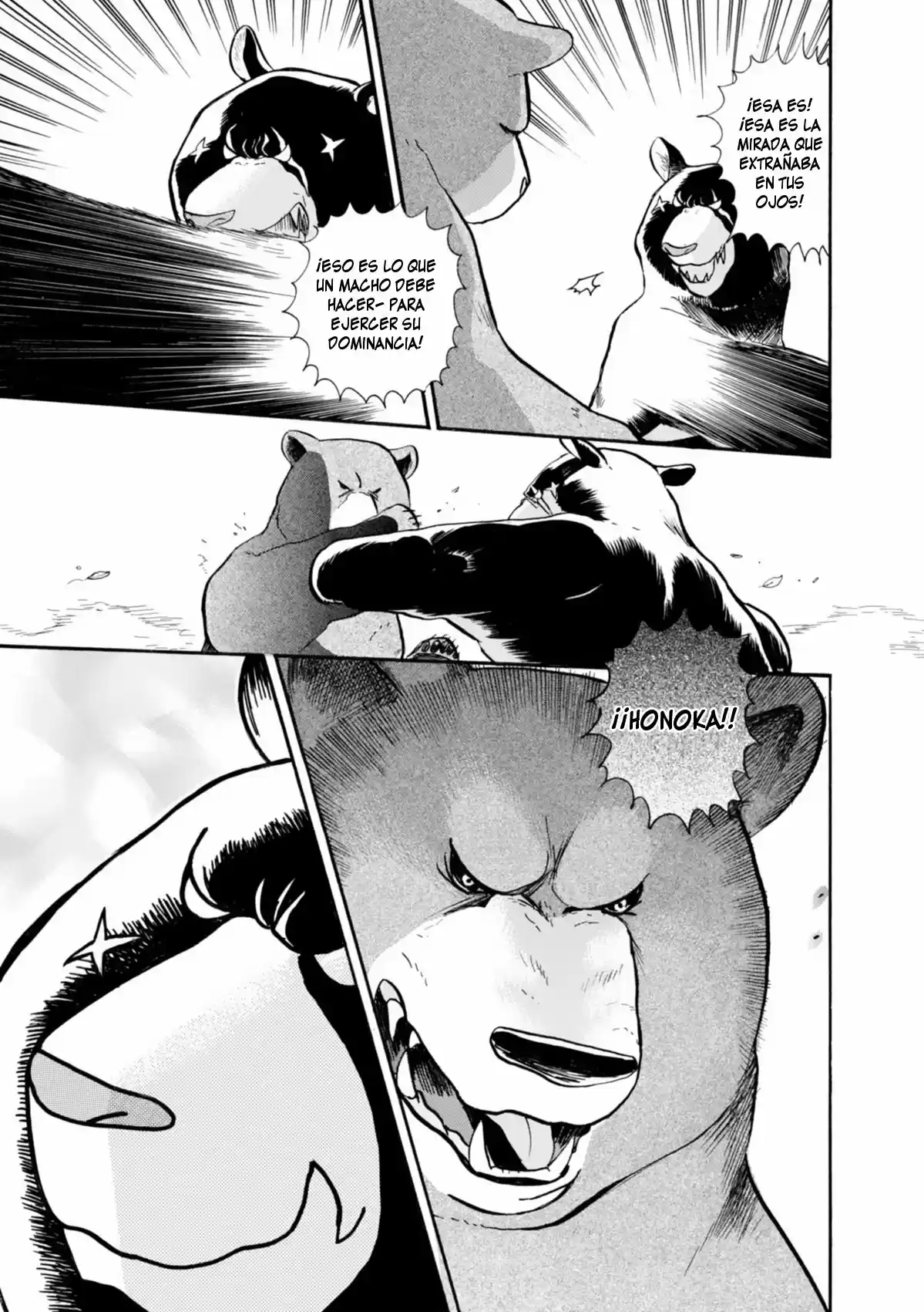 Kumamiko - Girl Meets Bear (2013) - Capítulo 31 - Página 25 - LectorTMOo