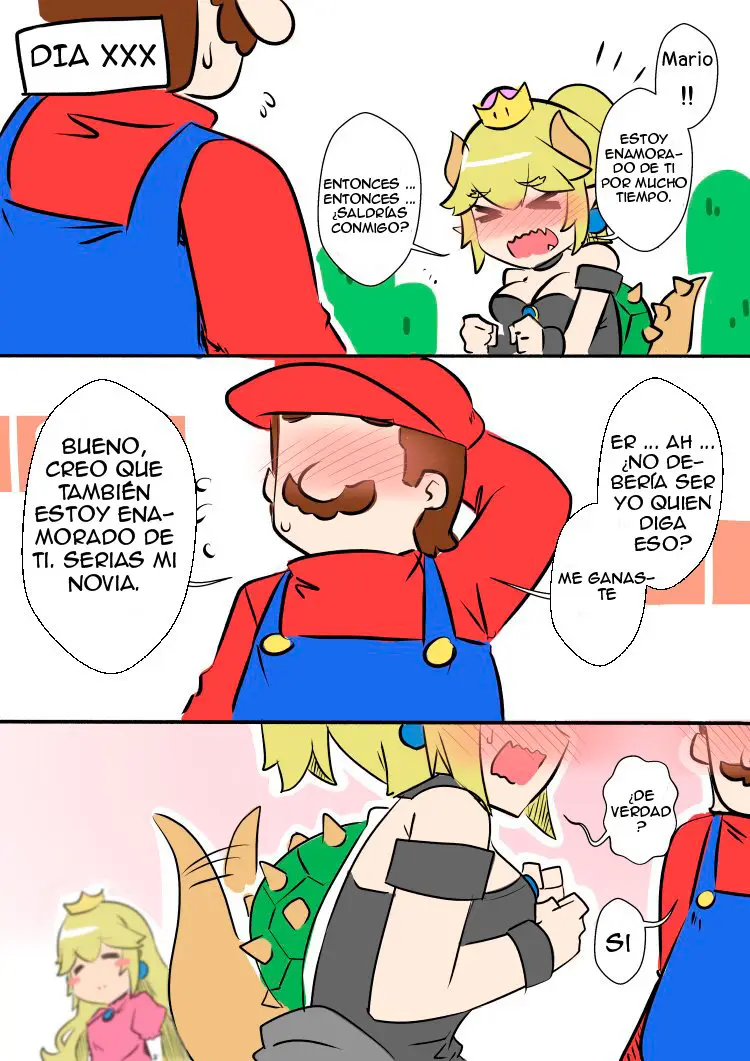 Kuppahime|Bowsette & Booette Vol.1 & 2 (Super Mario Bros.) - Capítulo 1 - Página 25 - LectorTMOo