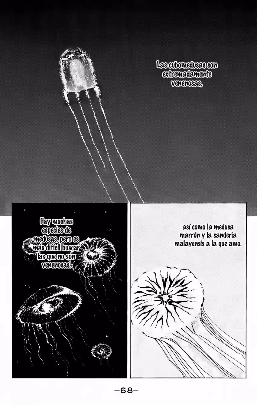 Kuragehime (2008) - Capítulo 57 - Página 2 - LectorTMOo