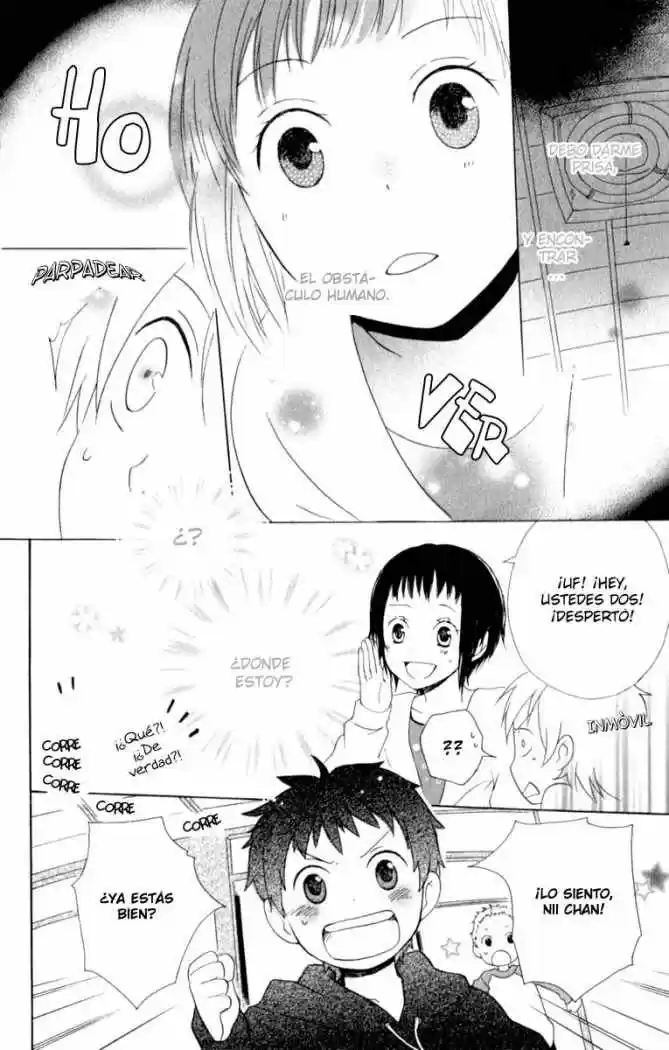 Kurenai Ouji (2007) - Capítulo 1 - Página 28 - LectorTMOo