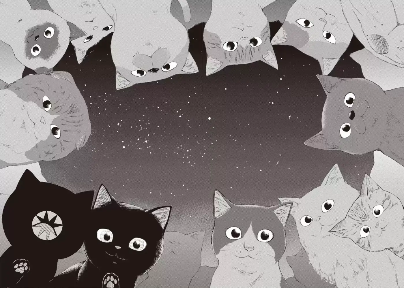 Kuro (Manga) (2011) - Capítulo 194.5 - Página 10 - LectorTMOo