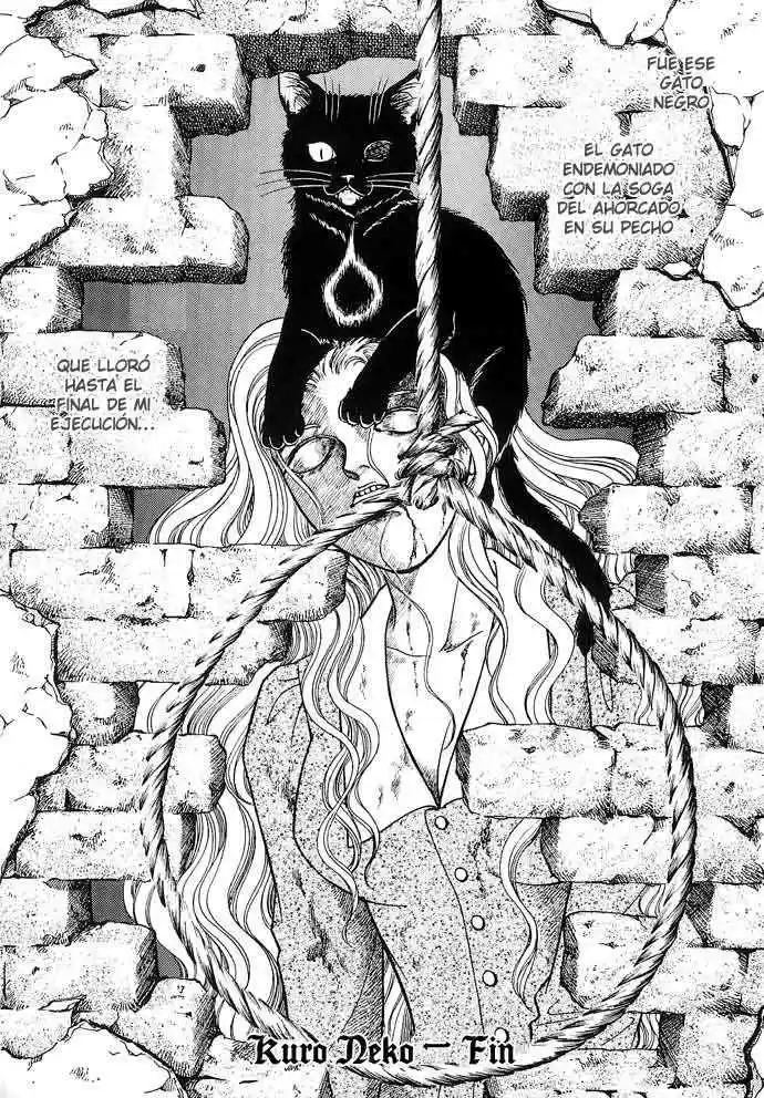 Kuro Neko (2014) - Capítulo - Página 43 - LectorTMOo
