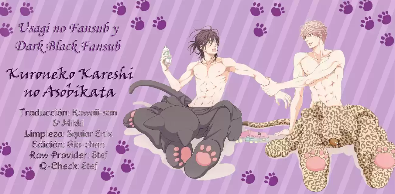 Kuroneko Kareshi no Asobikata (2012) - Capítulo 6.5 - Página 1 - LectorTMOo