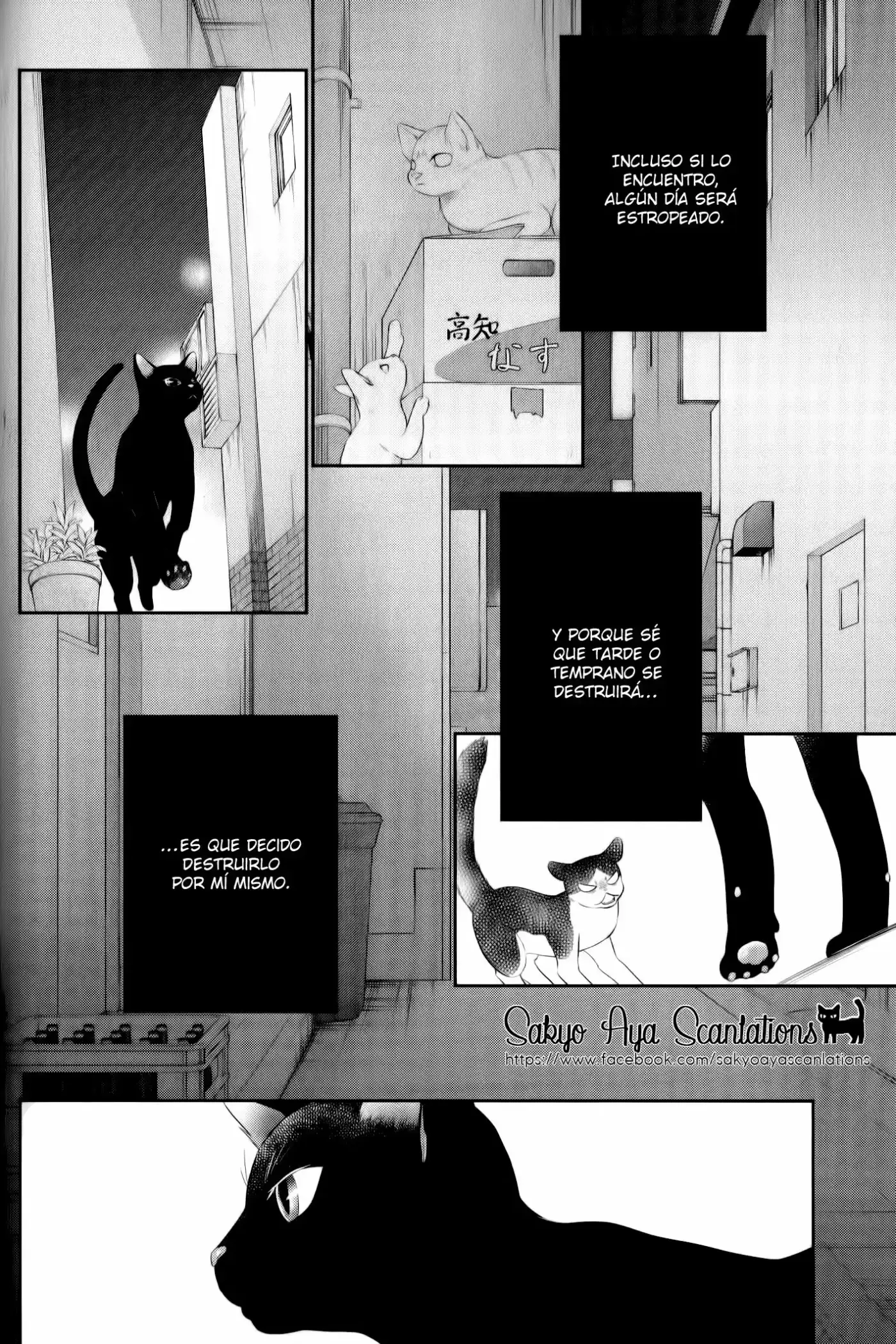 Kuroneko Kareshi no Asobikata (2012) - Capítulo 8 - Página 29 - LectorTMOo