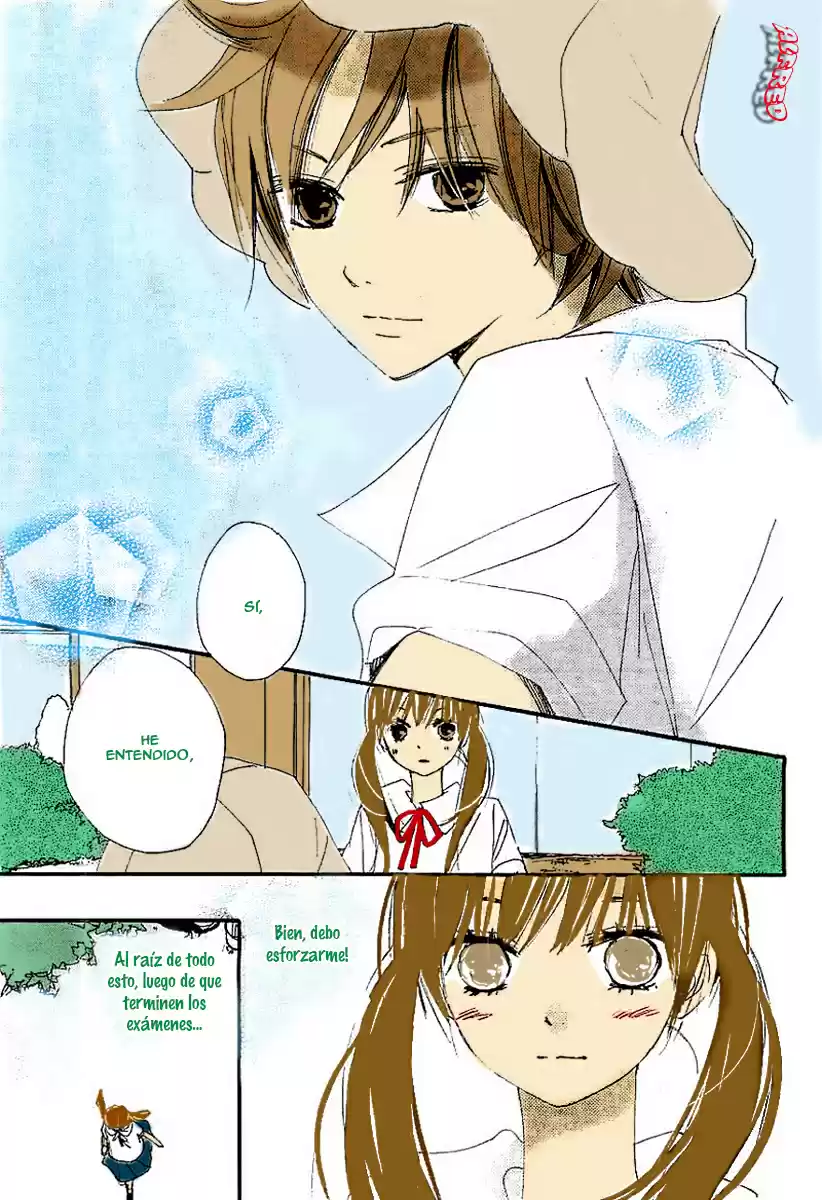 Kuusou Spin Flower (2016) - Capítulo 4 - Página 22 - LectorTMOo