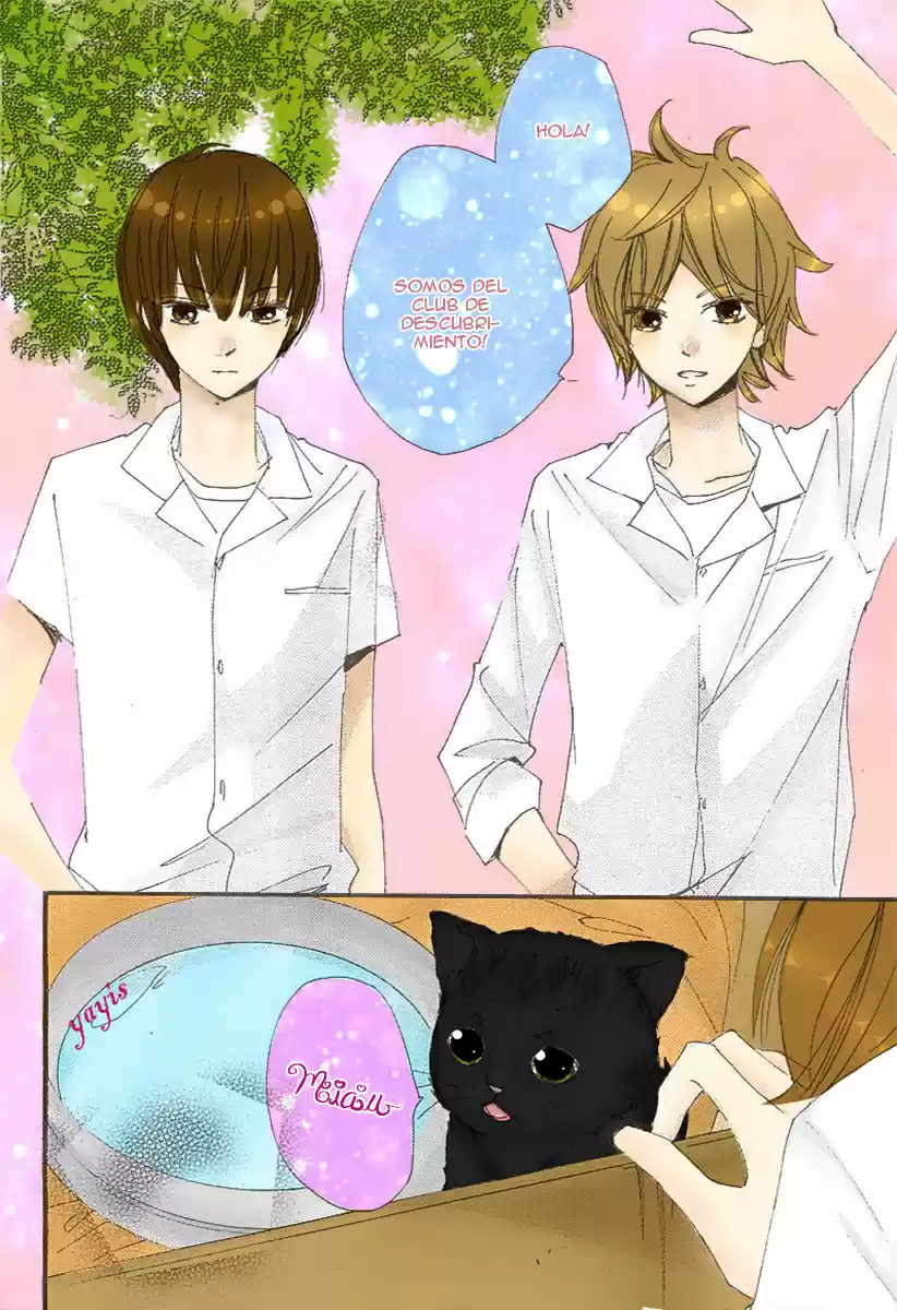Kuusou Spin Flower (2016) - Capítulo 7 - Página 19 - LectorTMOo