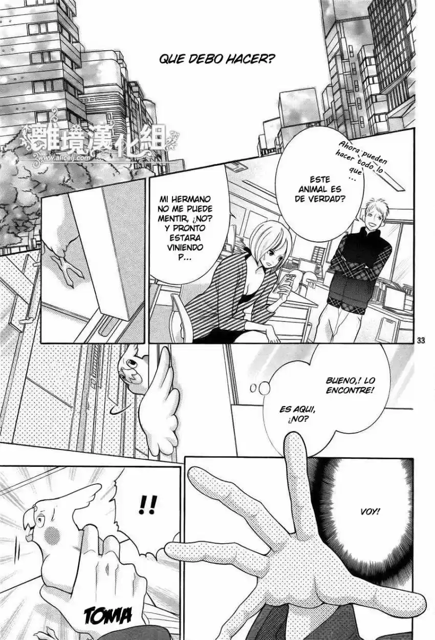 Kyou no Kira-kun (2011) - Capítulo 28 - Página 35 - LectorTMOo