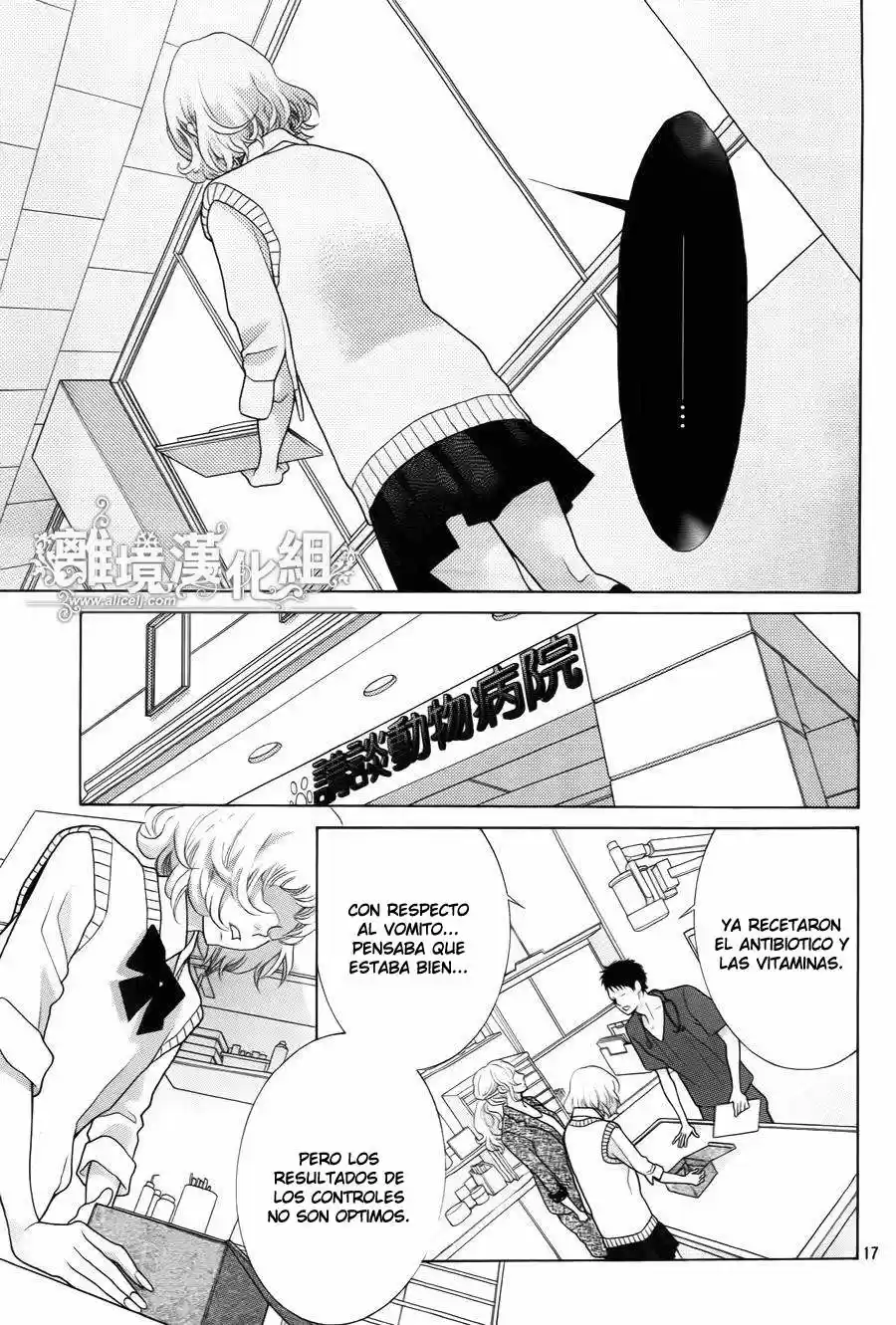 Kyou no Kira-kun (2011) - Capítulo 33 - Página 19 - LectorTMOo