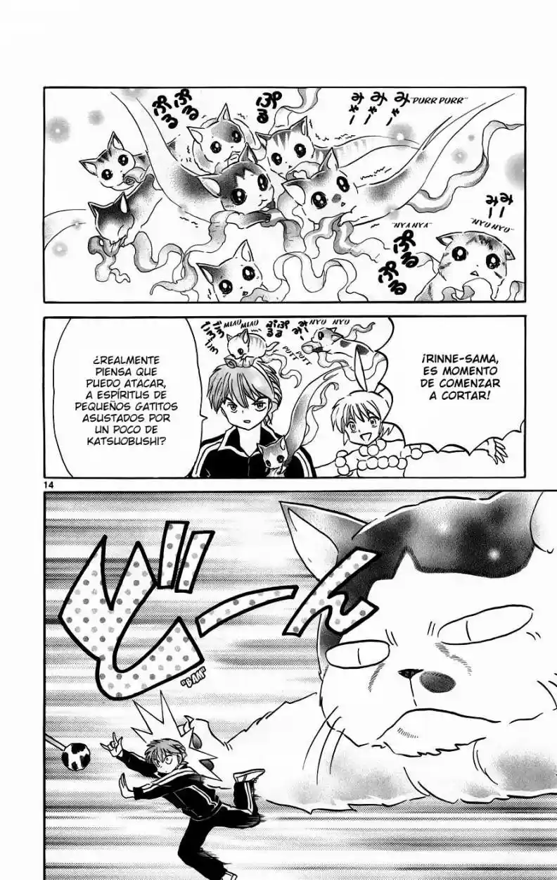 Kyoukai no Rinne (2009) - Capítulo 126 - Página 14 - LectorTMOo