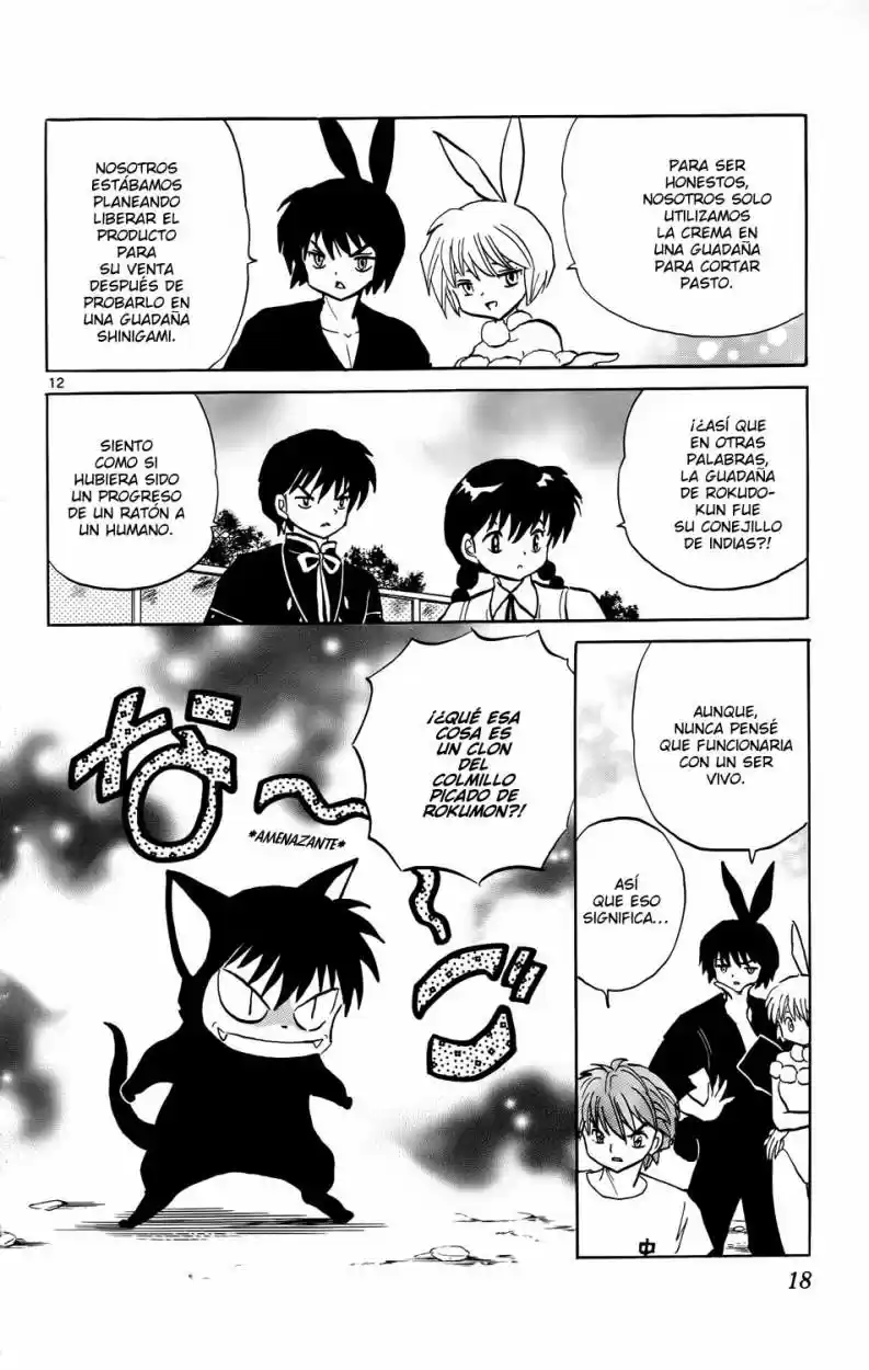 Kyoukai no Rinne (2009) - Capítulo 149 - Página 17 - LectorTMOo