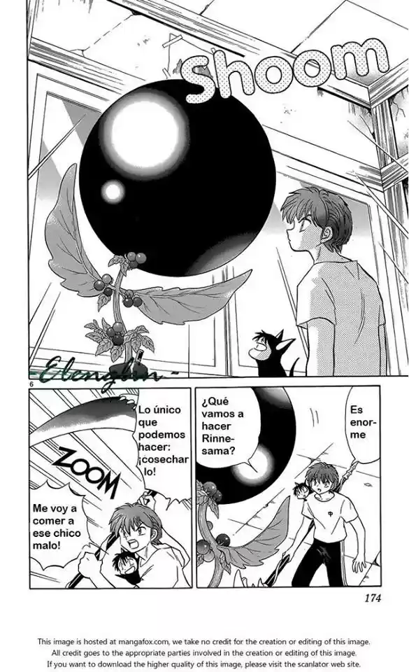 Kyoukai no Rinne (2009) - Capítulo 198 - Página 8 - LectorTMOo