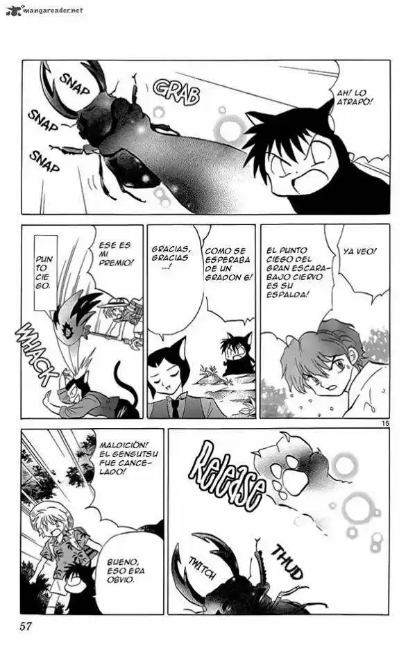 Kyoukai no Rinne (2009) - Capítulo 201 - Página 17 - LectorTMOo