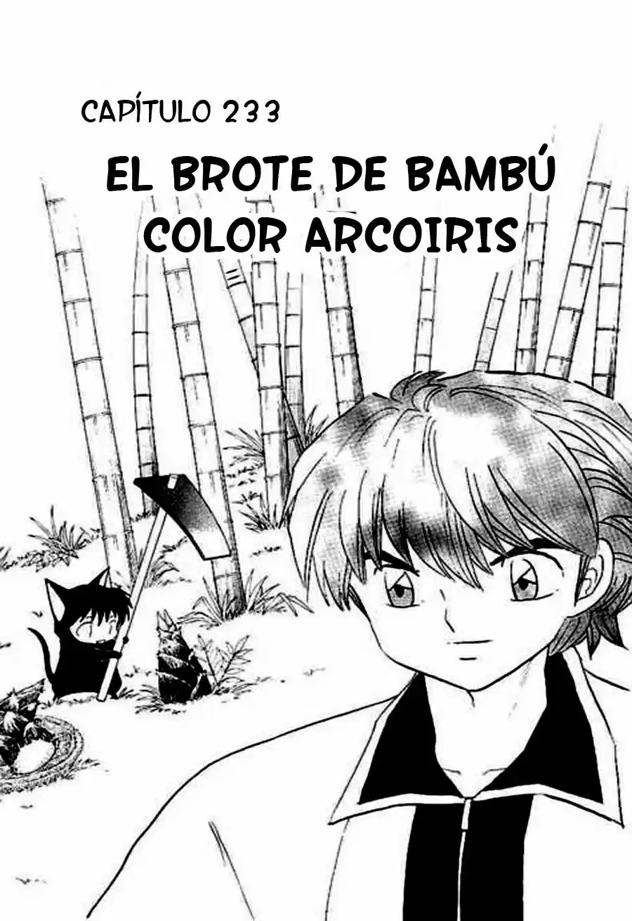 Kyoukai no Rinne (2009) - Capítulo 233 - Página 2 - LectorTMOo