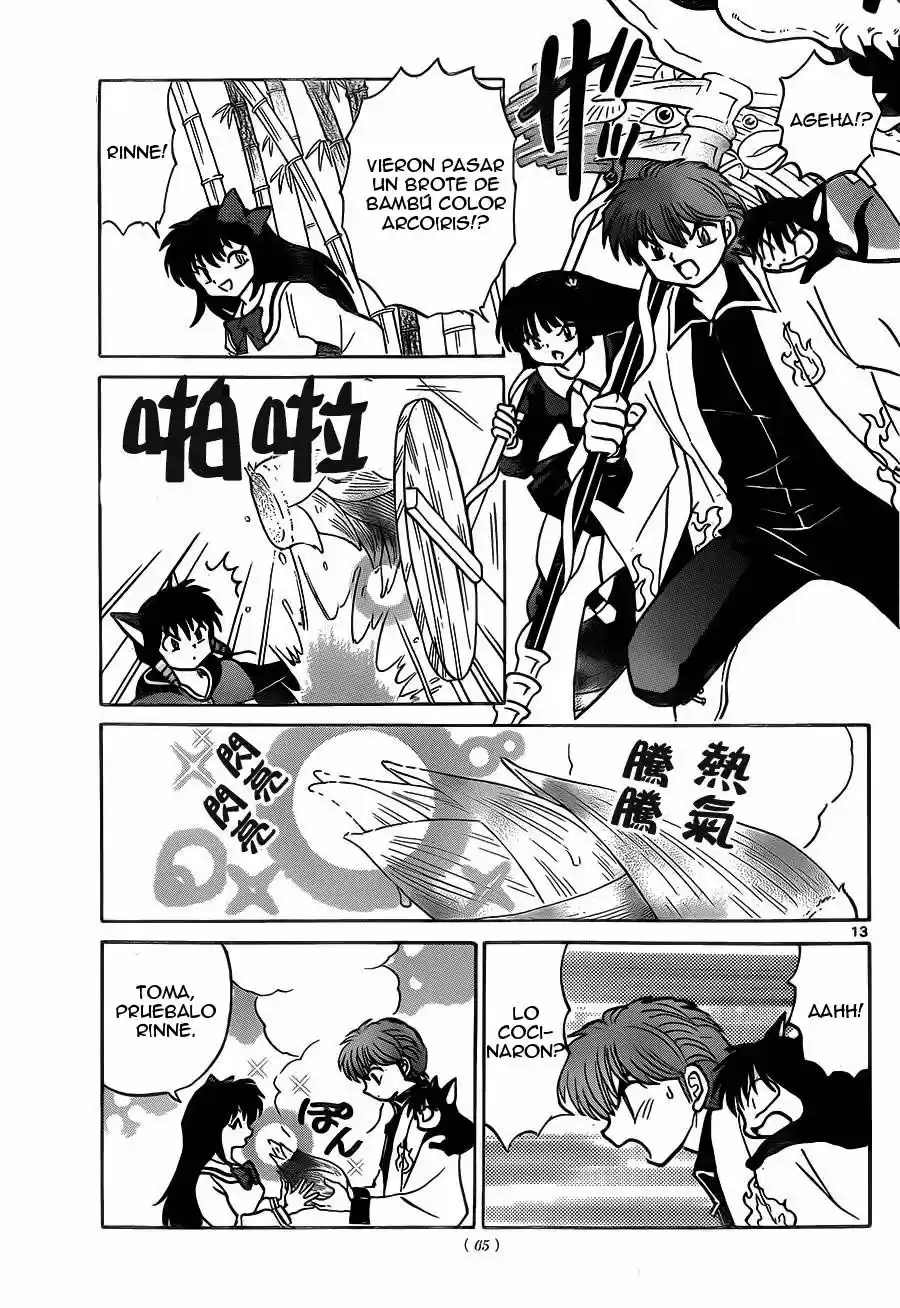 Kyoukai no Rinne (2009) - Capítulo 233 - Página 14 - LectorTMOo