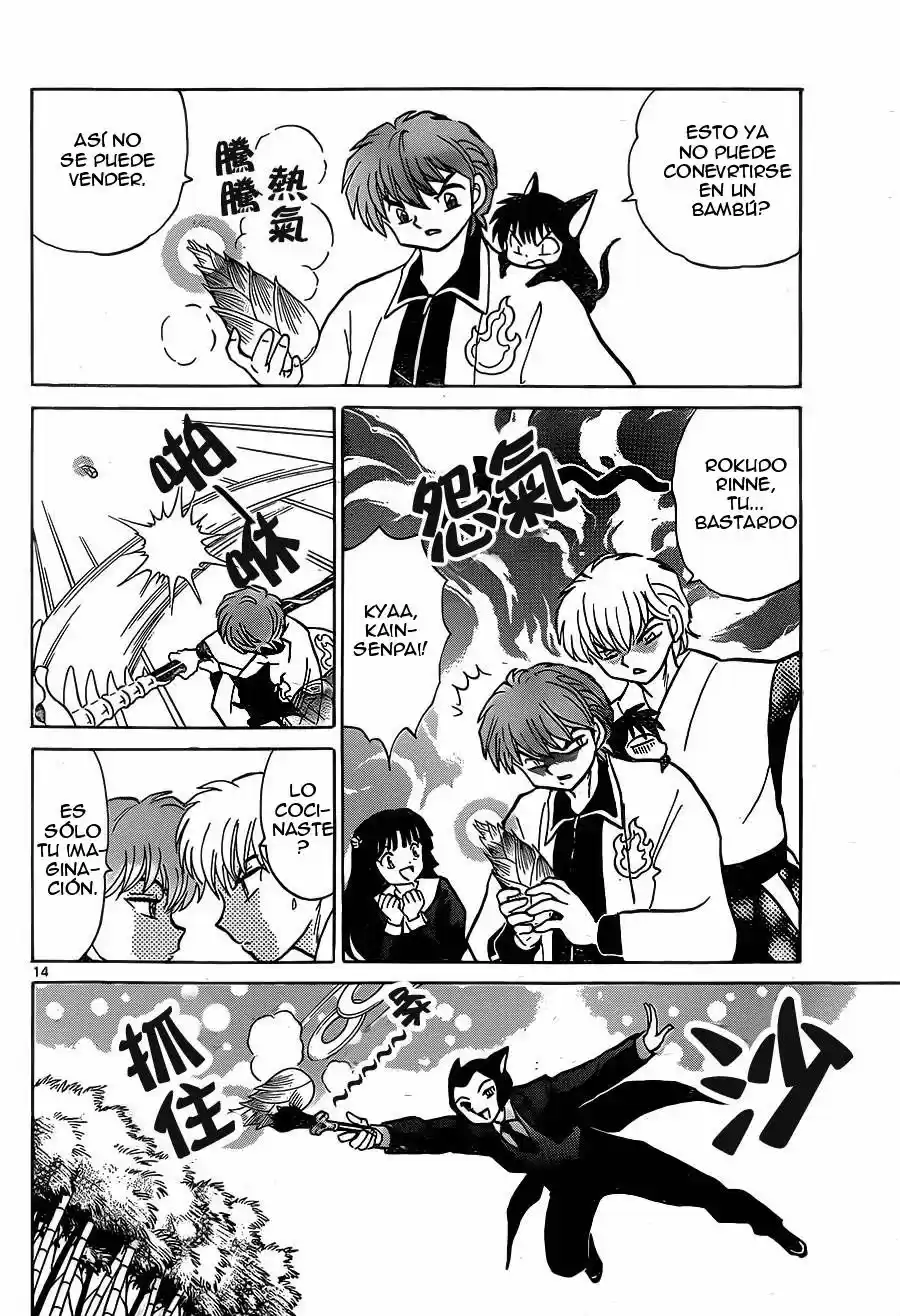 Kyoukai no Rinne (2009) - Capítulo 233 - Página 15 - LectorTMOo