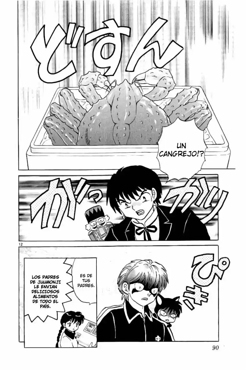 Kyoukai no Rinne (2009) - Capítulo 263 - Página 13 - LectorTMOo