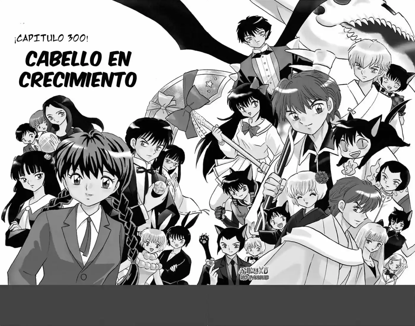 Kyoukai no Rinne (2009) - Capítulo 300 - Página 4 - LectorTMOo