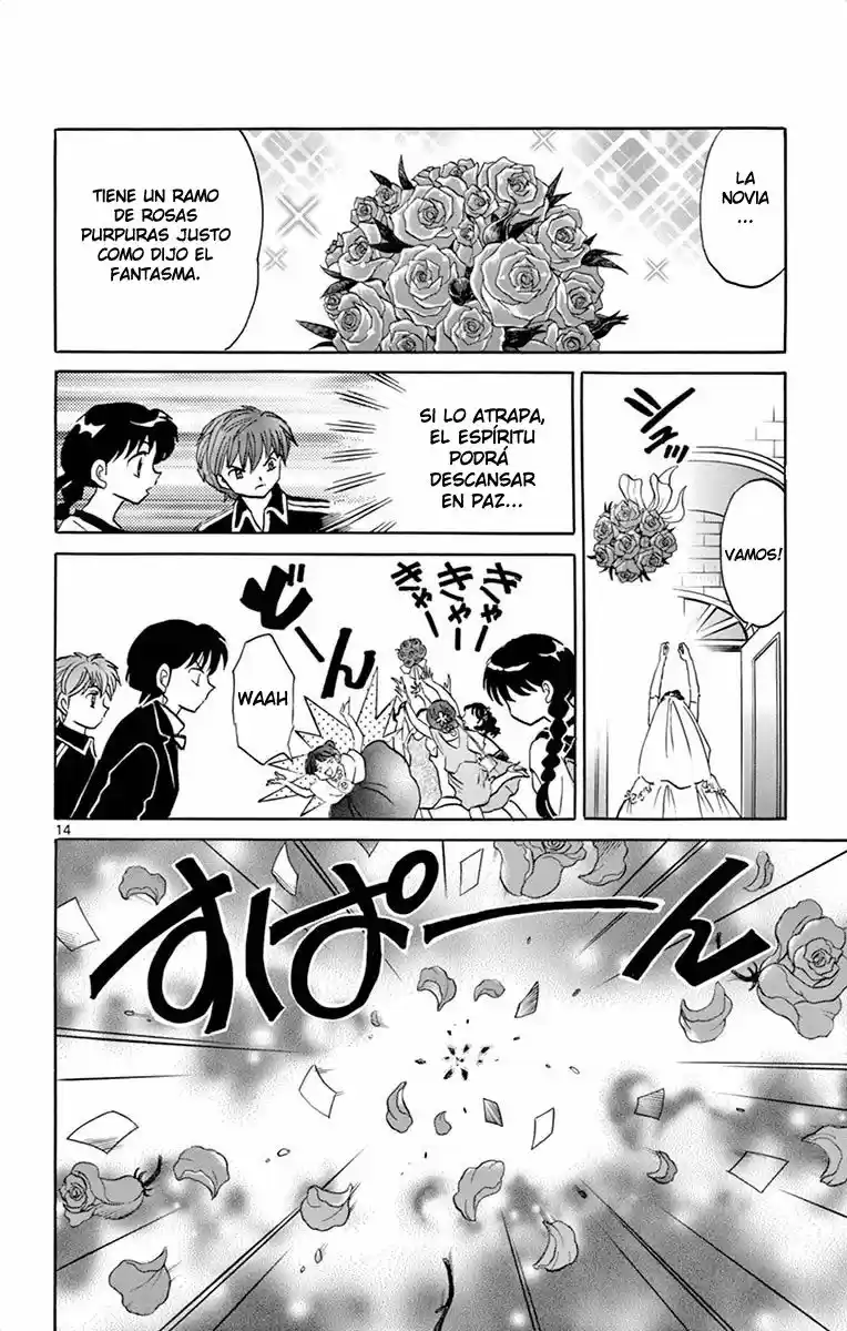 Kyoukai no Rinne (2009) - Capítulo 304 - Página 15 - LectorTMOo