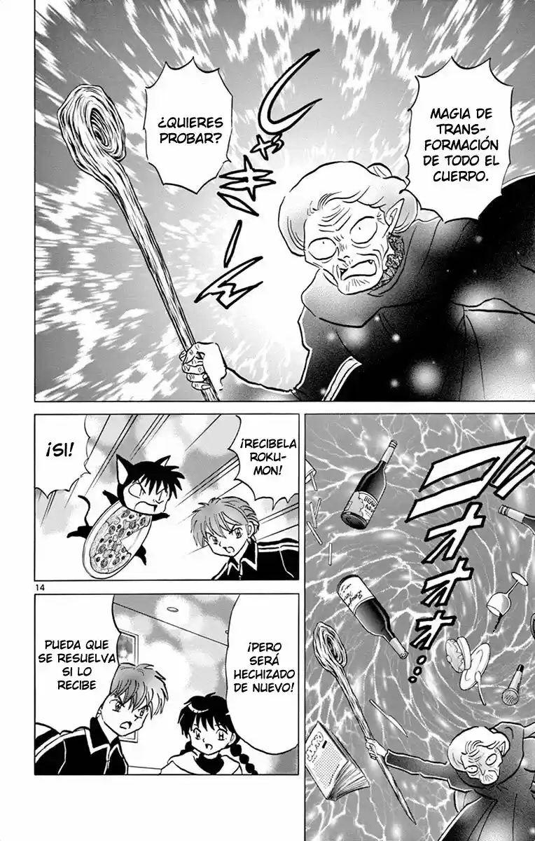 Kyoukai no Rinne (2009) - Capítulo 306 - Página 15 - LectorTMOo