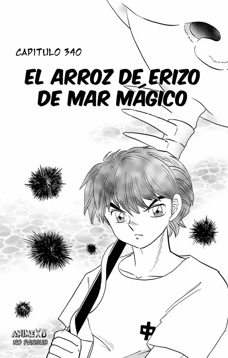 Kyoukai no Rinne (2009) - Capítulo 340 - Página 2 - LectorTMOo