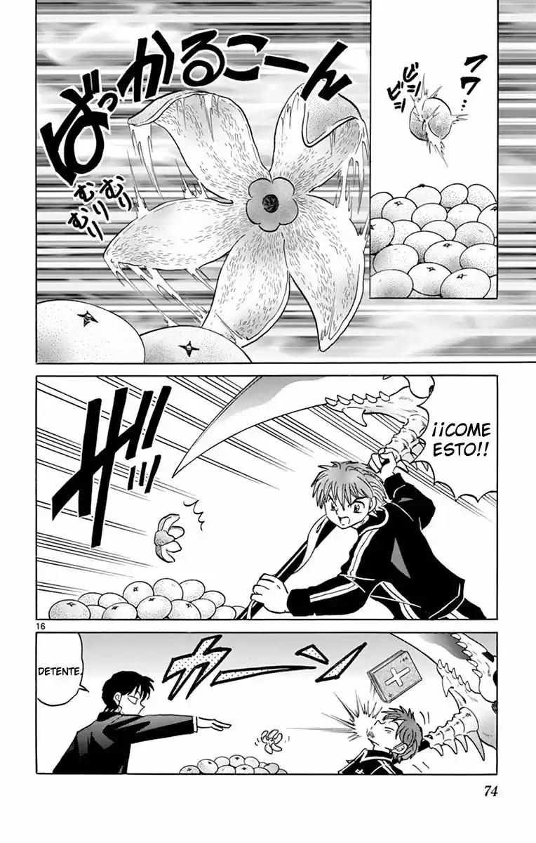 Kyoukai no Rinne (2009) - Capítulo 352 - Página 17 - LectorTMOo