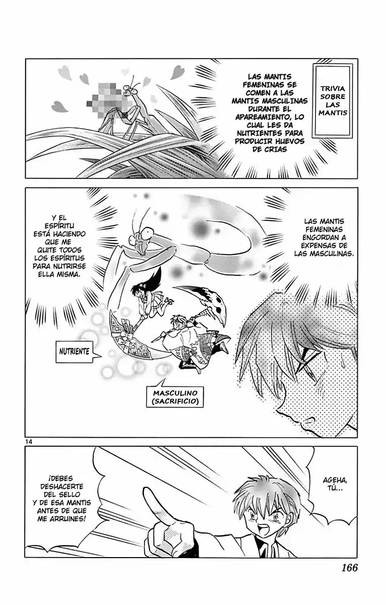 Kyoukai no Rinne (2009) - Capítulo 387 - Página 15 - LectorTMOo