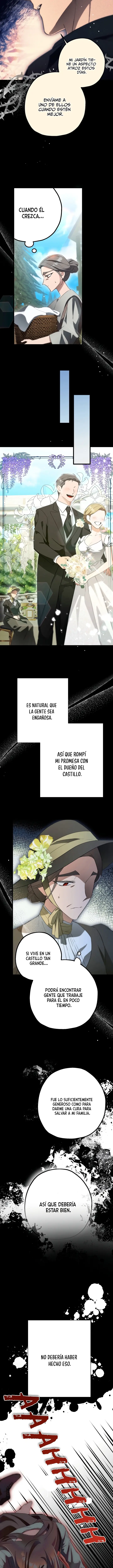 La Bella Es Deseada Por La Bestia - Capítulo 31 - Página 8 - LectorTMOo