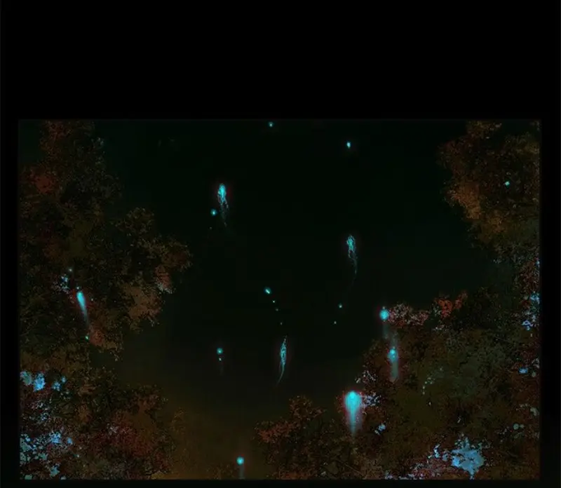 La Bendición del Oficial del Cielo. (2019) - Capítulo 24 - Página 4 - LectorTMOo