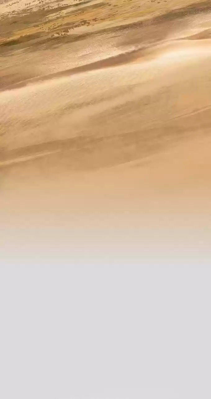 La Bendición del Oficial del Cielo. (2019) - Capítulo 57 - Página 35 - LectorTMOo