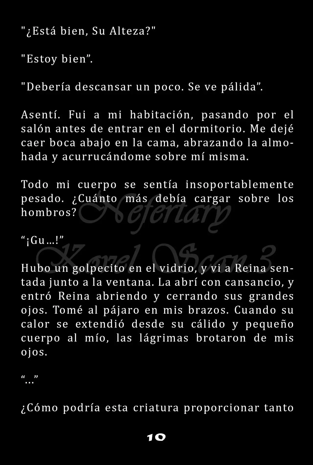 La Emperatriz se volvió a casar (Novela) - Capítulo 22 - Página 11 - LectorTMOo