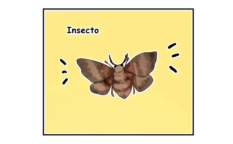La Fierecilla Domada (1996) - Capítulo 23 - Página 11 - LectorTMOo