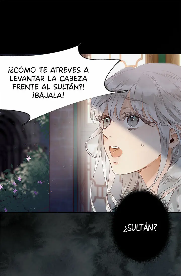 La flor del Sultán (2020) - Capítulo 1 - Página 32 - LectorTMOo