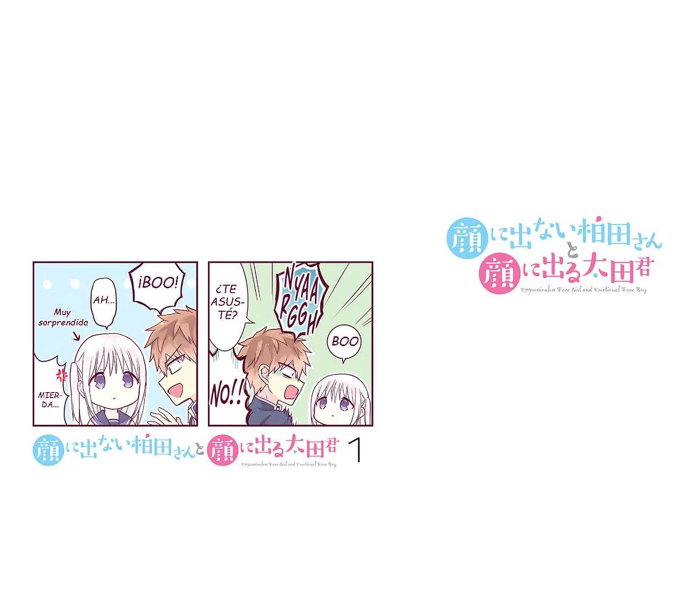 La Inexpresiva Kashiwada-san y el Emotivo Oota-kun (Manga) (2018) - Capítulo 13.5 - Página 10 - LectorTMOo