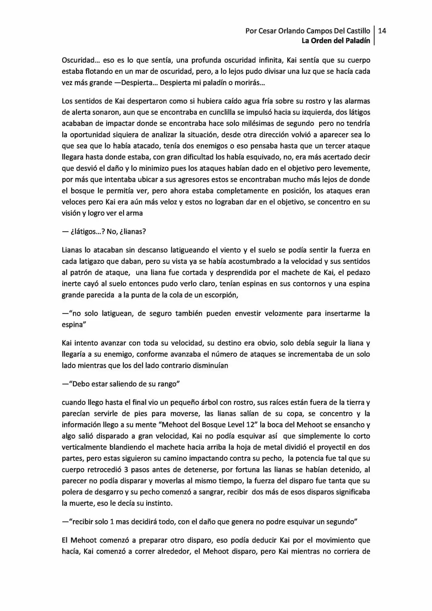 La Orden Del Paladin (2017) - Capítulo 1.1 - Página 14 - LectorTMOo