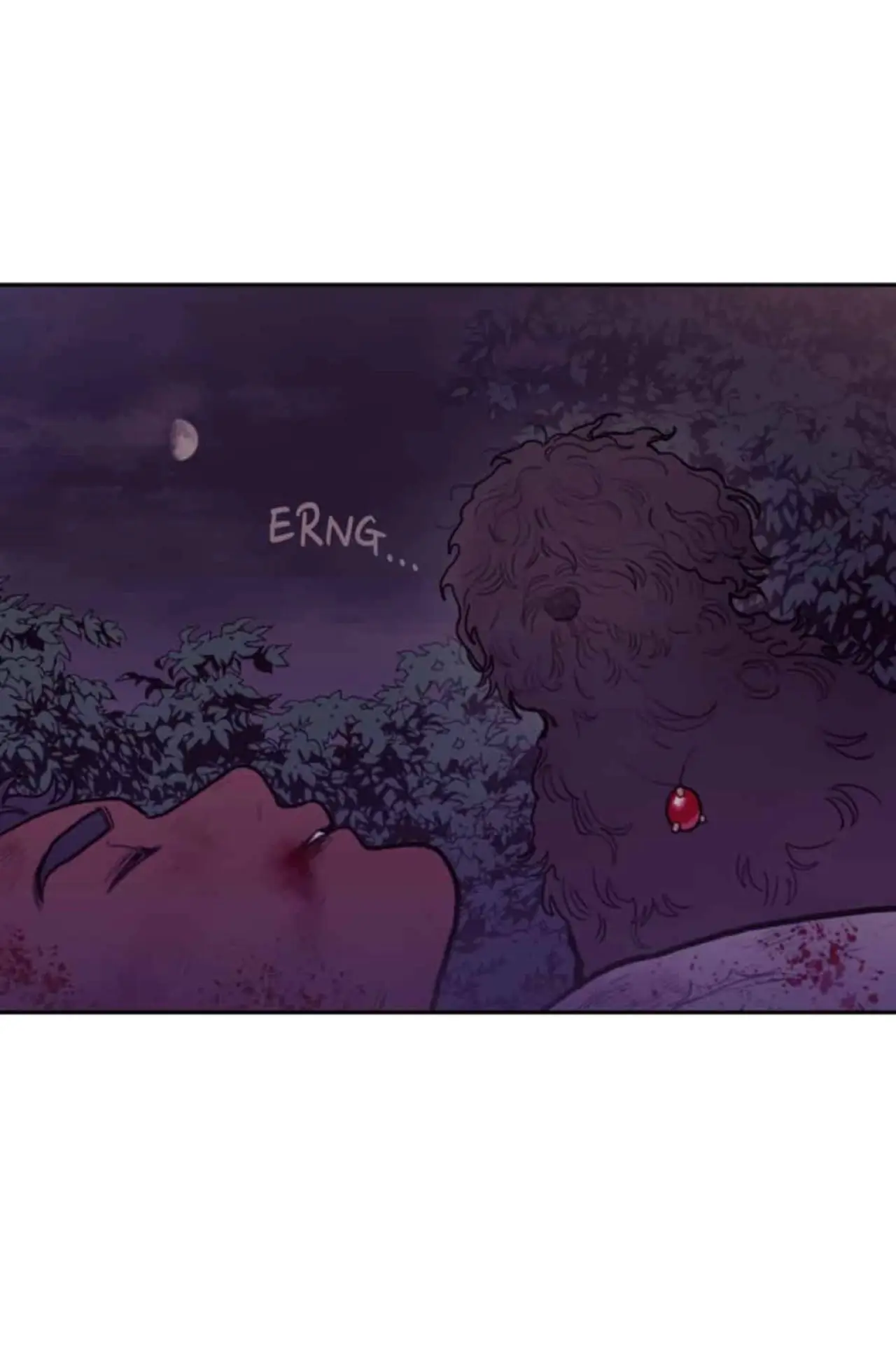 La sangre del sol - Capítulo 35 - Página 43 - LectorTMOo