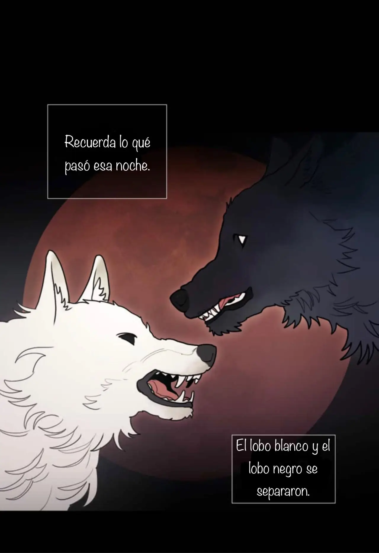 La sangre del sol - Capítulo 37 - Página 63 - LectorTMOo