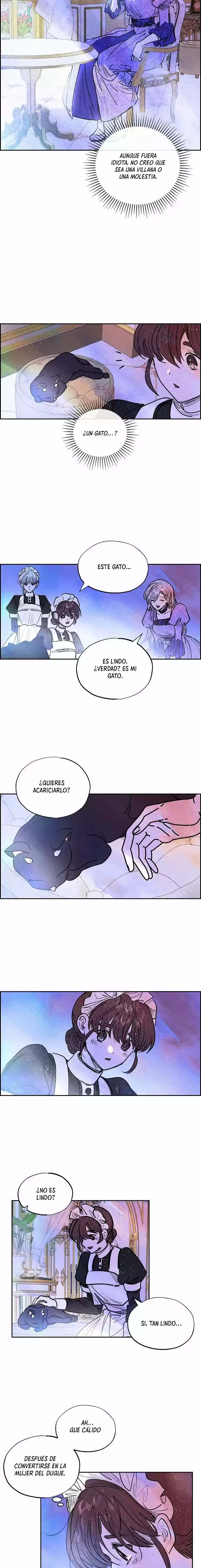 La villana lleva una máscara de idiota (2021) - Capítulo 17 - Página 8 - LectorTMOo