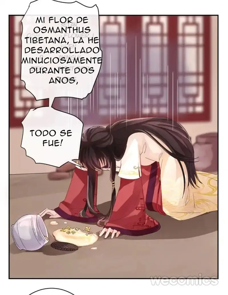 Las maravillas de los aromáticos - Capítulo 4 - Página 54 - LectorTMOo