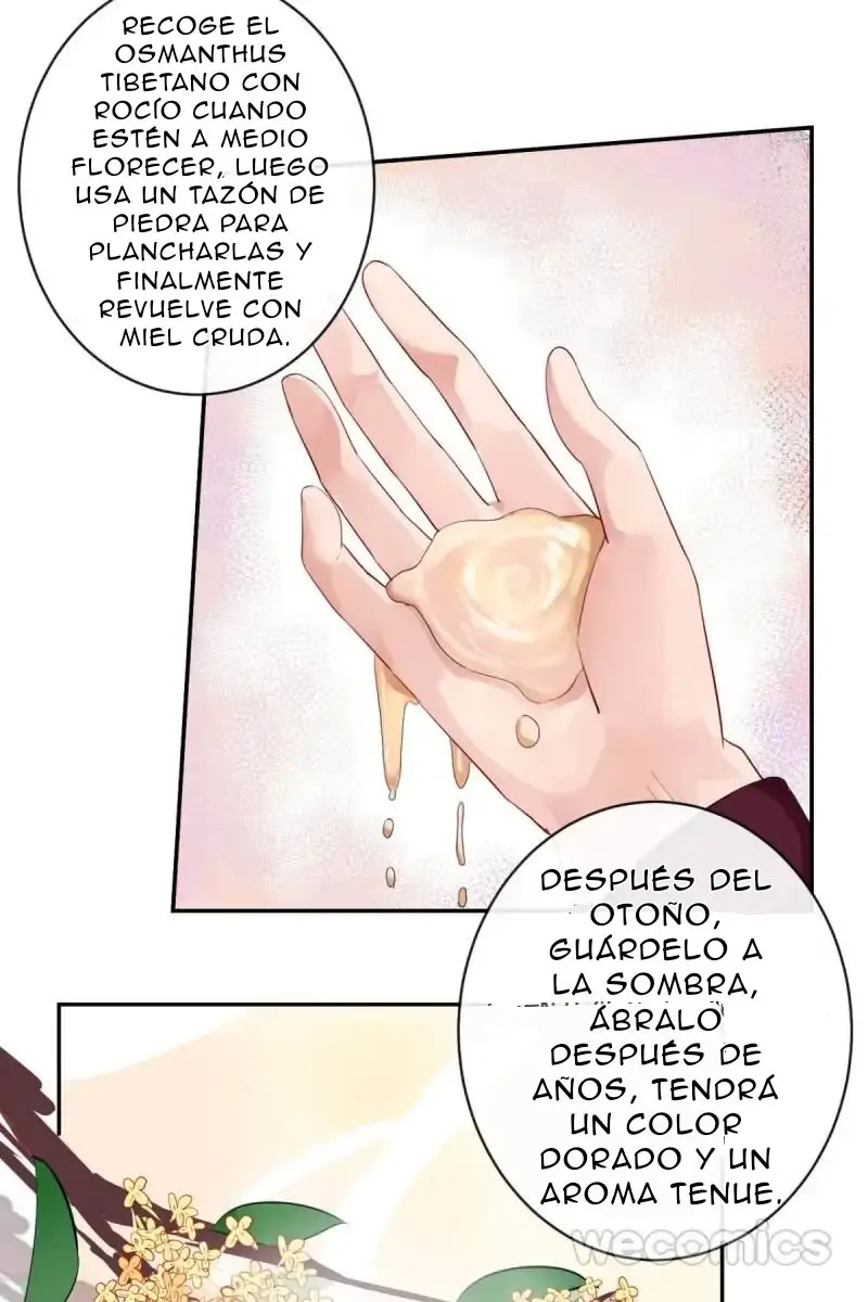 Las maravillas de los aromáticos - Capítulo 4 - Página 55 - LectorTMOo