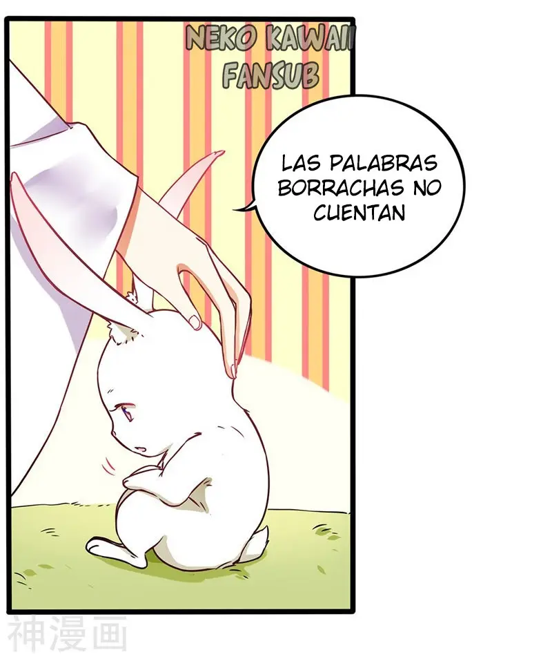 Los conejos no pueden ser dioses (2019) - Capítulo 2 - Página 19 - LectorTMOo