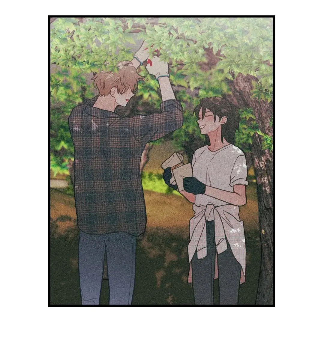 Love among pear blossoms (2023) - Capítulo 74 - Página 49 - LectorTMOo