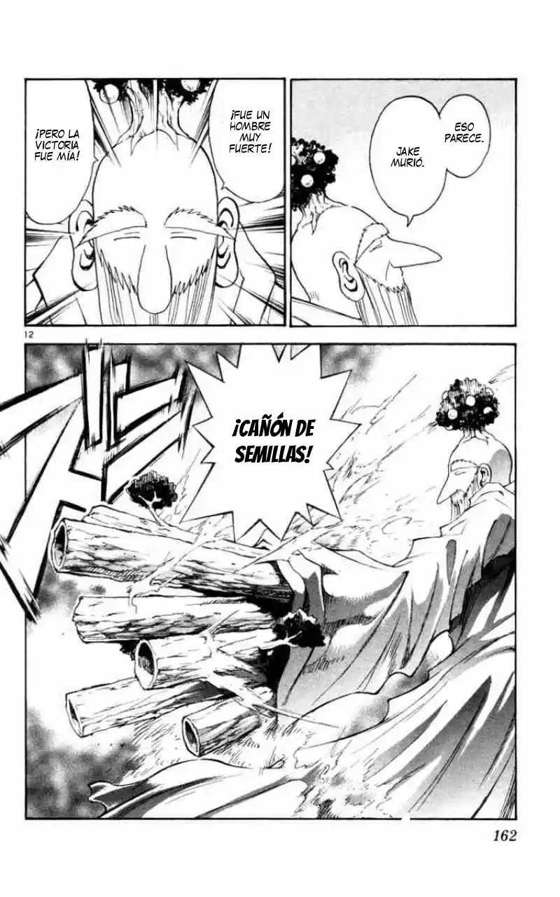 MÄR: Märchen Awakens Romance (2003) - Capítulo 128 - Página 12 - LectorTMOo