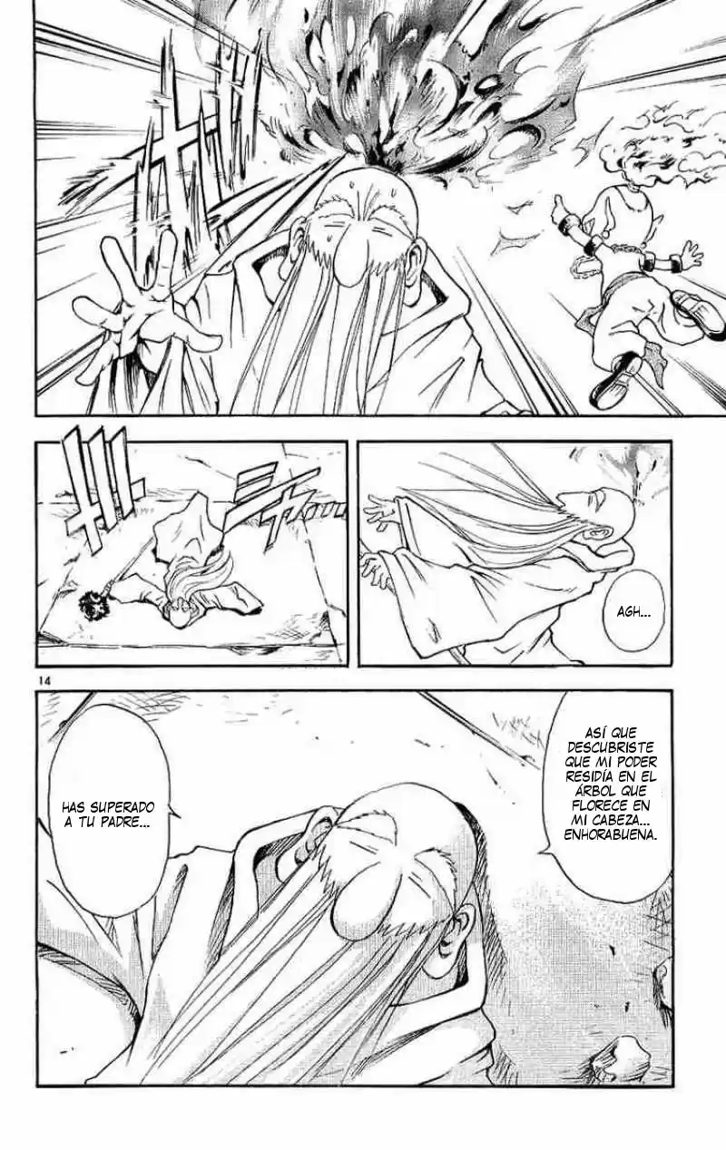 MÄR: Märchen Awakens Romance (2003) - Capítulo 130 - Página 14 - LectorTMOo